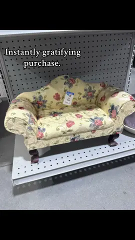 Should I reupholster it to a green to complement her fur? #thrifting #thriftedfinds #thriftfindsoftheweek #orangecatsoftiktok #orangecat 