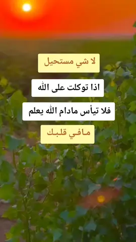 #لايك_متابعه_اكسبلور #مشاهير_تيك_توك #شعب_الصيني_ماله_حل 