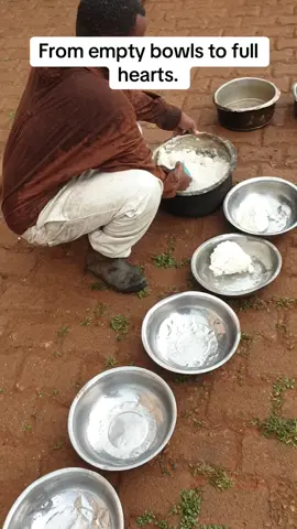 Food,safety,and family-everything they once dreamed of.🐶❤️#feedingtime #dogsoftiktok #usa🇺🇸 #donate #fyp 
