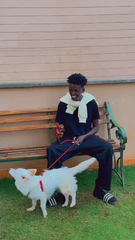 War isiiya🐕😃#saxuntadusha #onemillionauditions #yolbizi 