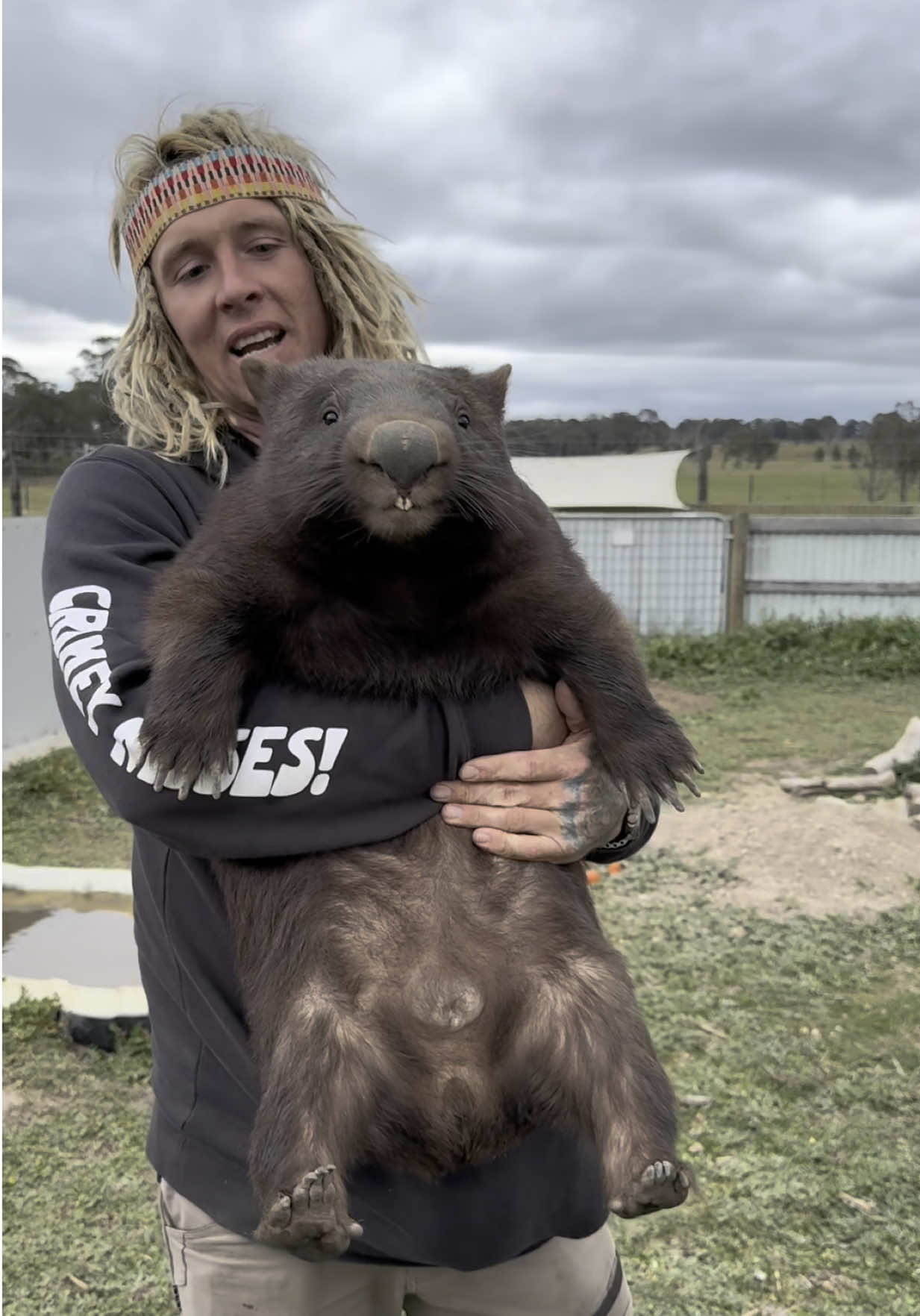 Out in the pen today with Rocco the wombat 🐻 Haven’t seen him much since the girls were released, every time I go out there now he’s hit that stage where he flicks the switch as a male wombat 💪 Full territorial mode, wanting to defend his space and own it That’s actually a great sign, he’s well on his way to being ready for the bush 🌿 No interest in humans anymore, does his best to fight us off, and that’s exactly what we want. Hopefully in the next couple of weeks we can get Rocco back out in the wild where he belongs, and free up some room for Betty and Kev Meanwhile, little Steve-O the wombat 🐾 riding in the hoodie pocket is coming along brilliantly. Already such a cheeky little character in the making. Legends all round! ONYA Legends! 💚✨
