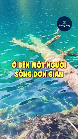 Ở bên họ thường rất yên bình #trietlysong 