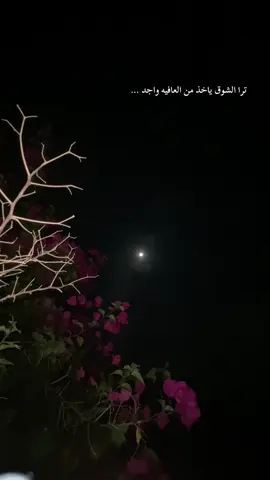 #الشعب_الصيني_ماله_حل😂😂 #تصويري📸 #اكسبلور #اكسبلوررر 