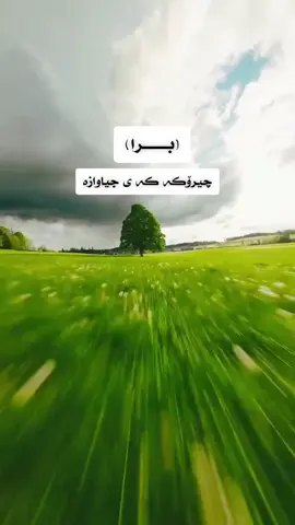 خوشک زۆر برای خۆش ئە وێت🥹#براکانم_فیداتان_بم👫🌎🌹🖇️ #actives? #f #foryoupage #fyppppppppppppppppppppppp 