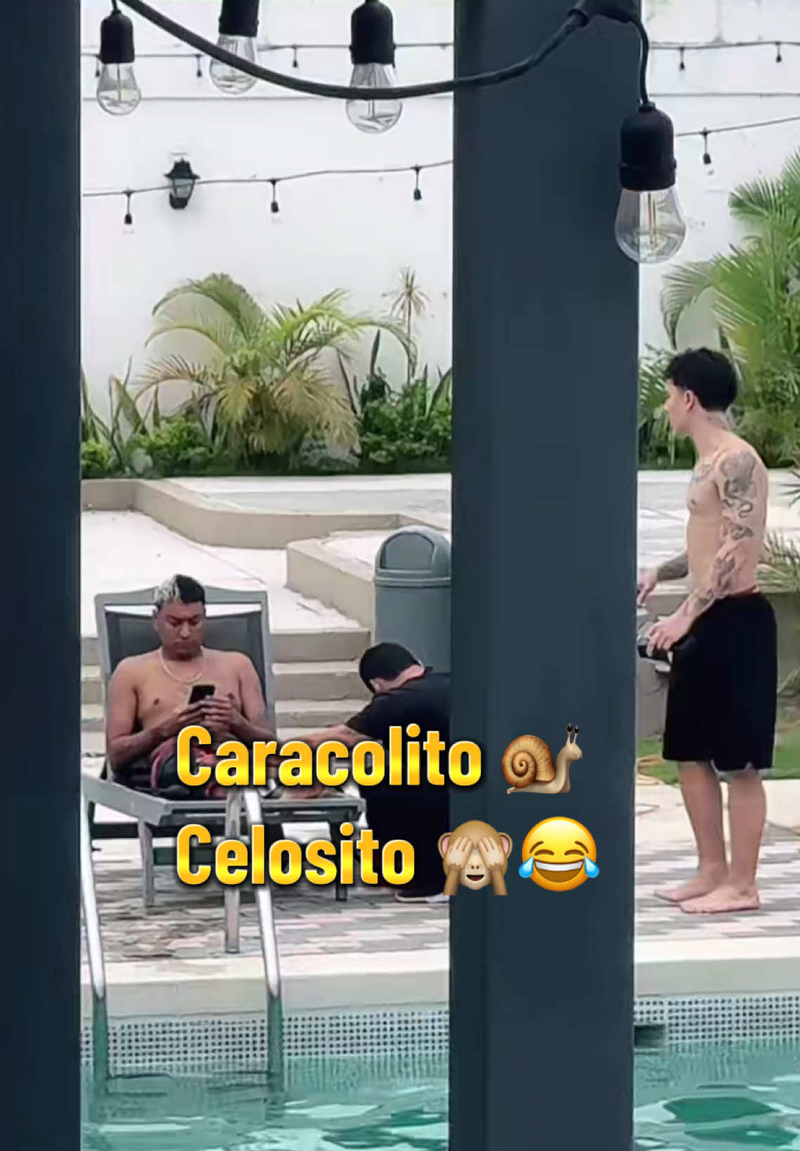 João Y Supremo 😂 #joaoferreira #nicaragua #honduras #supremo #duelodeeditoresjf @João Ferreira @SuPreMO 🐧💝 