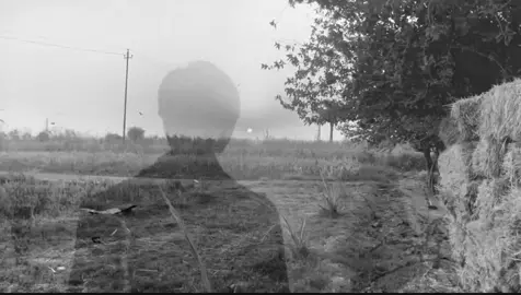 تدري بيهه #fyp #goviral #fypシ #fypシ 