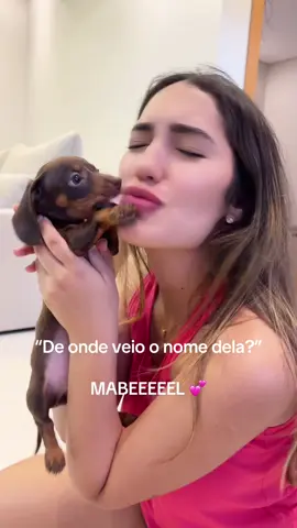 Você não entenderia… Pica pau e também da junção de Maria e Gabriel ficou = Mabel 🩷 #picapau #mabel #dachshund #filhotededachshund #dachshundchocolate 