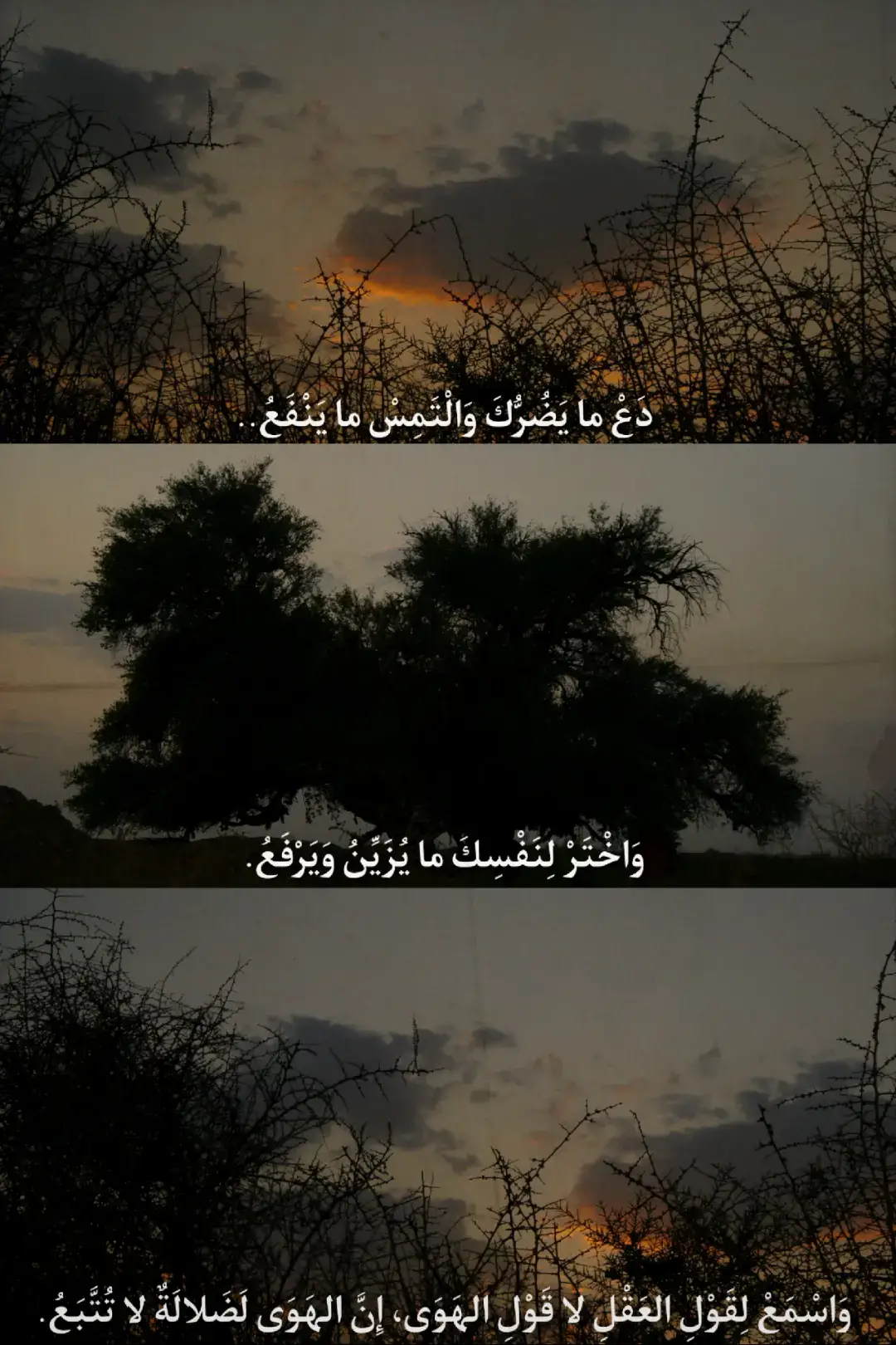 #ميسان #تصوير #tiktok 