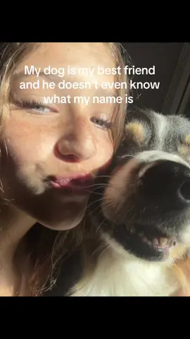 I love ya beau#fyp#viral#relatable#dog#bestfriend