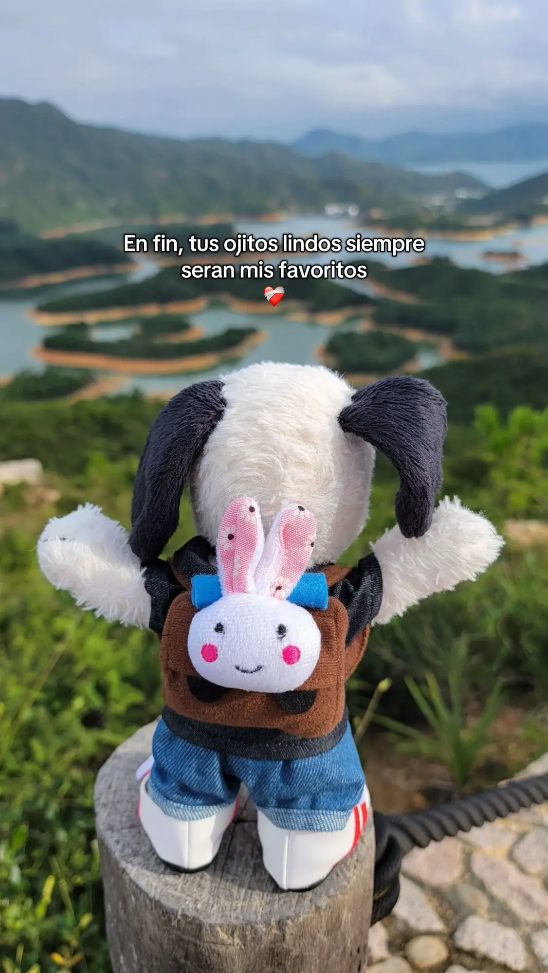 #fyp #dedicar #viral_video #parati 