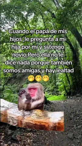 No siquiera lo pienses Rufián 😂 