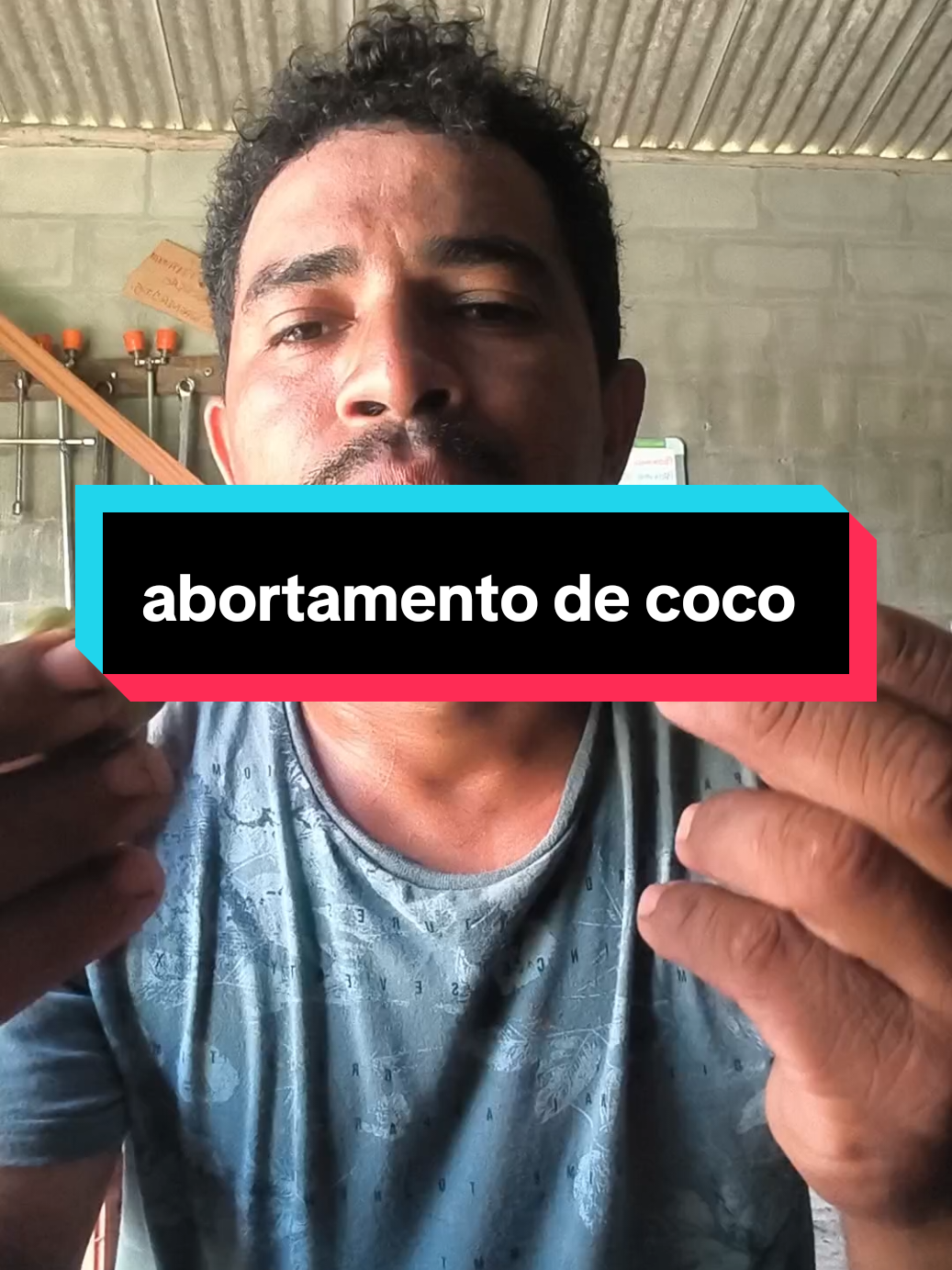 motivos porque seu coqueiro está abortando muito #roça #agro #coco #fyp #foryoupage 