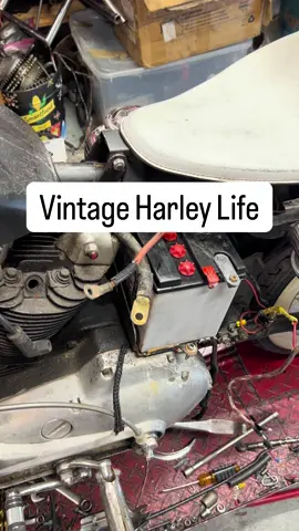 Living the vintage Harley Davidson lifestyle.  #motorcycle #harleydavidson #biketok #sportster #vintageharleydavidson 