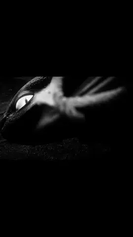 Se preparem,Fúria da noite chegou 😈 #interclasse #gincanaescolar #furiadanoite #banguela #comotreinarseudragao 