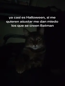 #halloweencostume #batman 