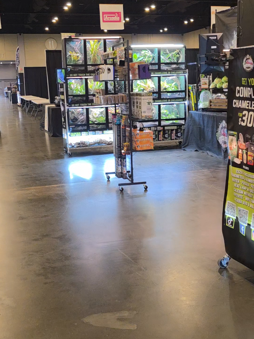 Find T & A Chameleons at the All American Reptile and Plant Expo! 🦎🐍🌿 * Saturday VIP Hour | 9 AM–10 AM ⏰ * Saturday General Admission | 10 AM–5 PM 🎟️ * Sunday VIP & General Admission | 10 AM–4 PM 🗓️ #Chameleons #ReptileExpo #Plants #VIP #Admission @AARPE 