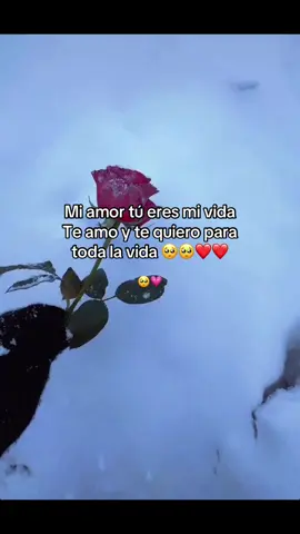 #fpyシ #foryou #mylovemylife #mylove #miamor😍 ❤️❤️