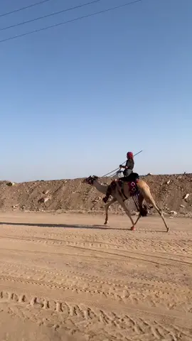 ماشاءالله تبارك الرحمن اذكر الله وصلو على النبي #❤️ 