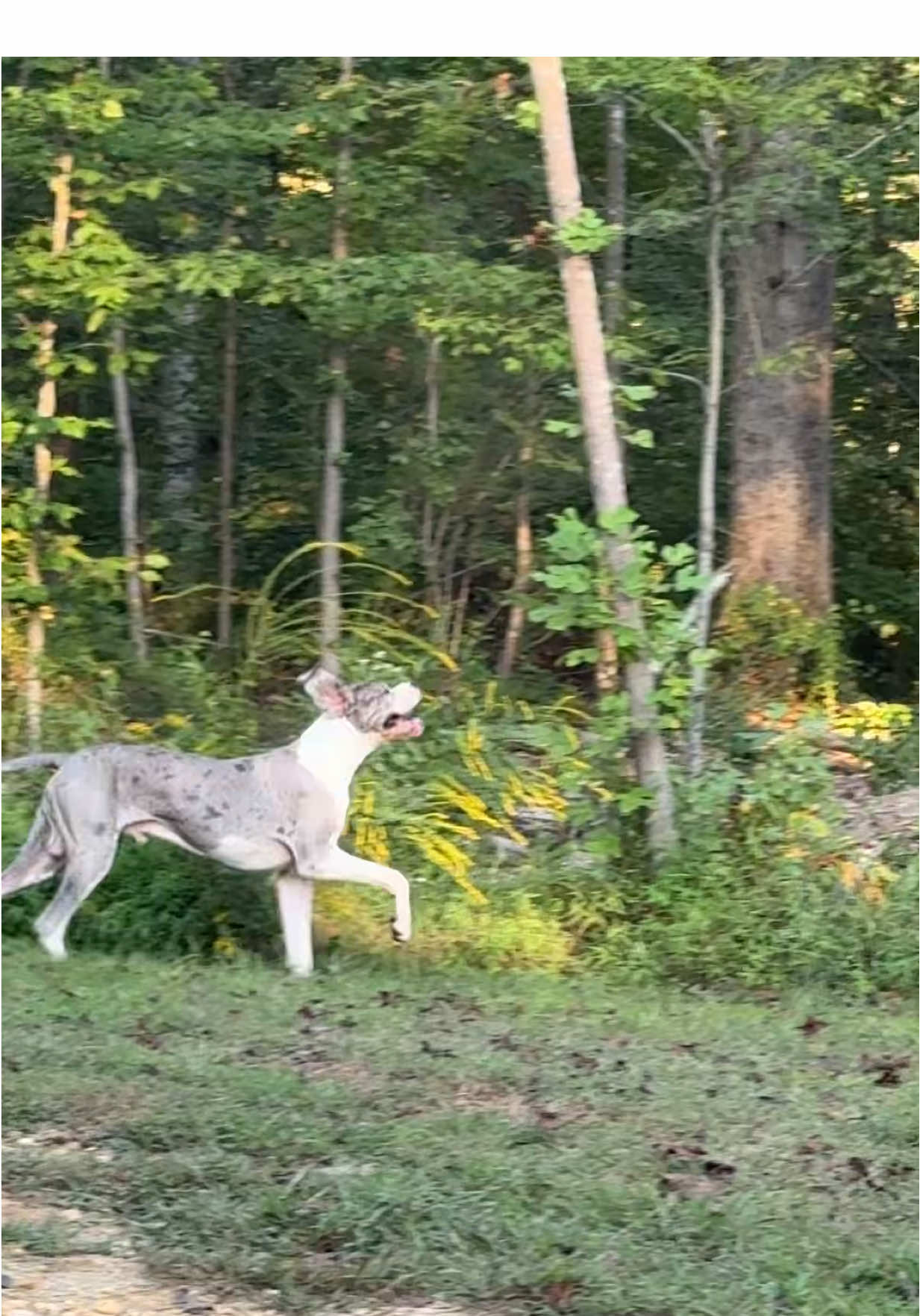 The song is sending me 😂😂