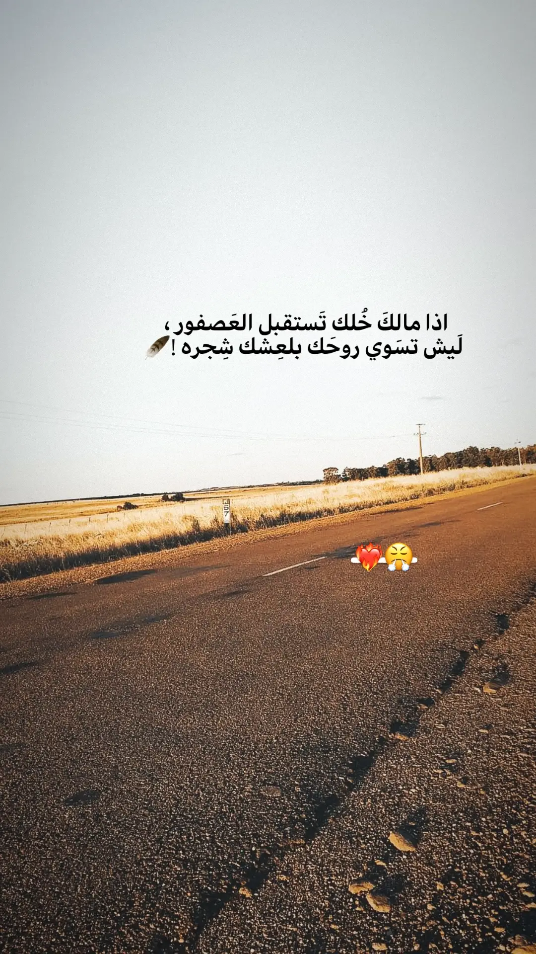 #عباراتكم_الفخمه📿📌 #fypシ  #تصميم_فيديوهات🎶🎤🎬 #youtube #شعراء_وذواقين_الشعر_الشعبي 