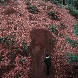 first edit 😁 #mtb #mtbedit #edit #viral #4k #kairox.mtb