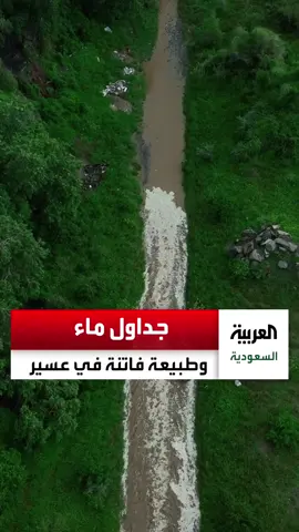 جداول ماء ومساحات خضراء.. ‏مشاهد فاتنة لمركز #قنا جنوب غرب ⁧‫#السعودية‬⁩ بعد هطول #الأمطار #خالد_ابو_منصور #اجواء #اكسبلور 