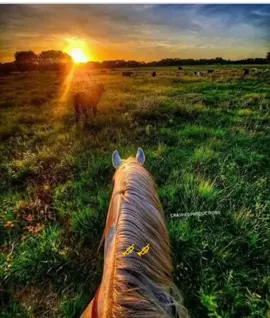 #Recuerdos #paraguaya #tradicion #temazo #fpy 