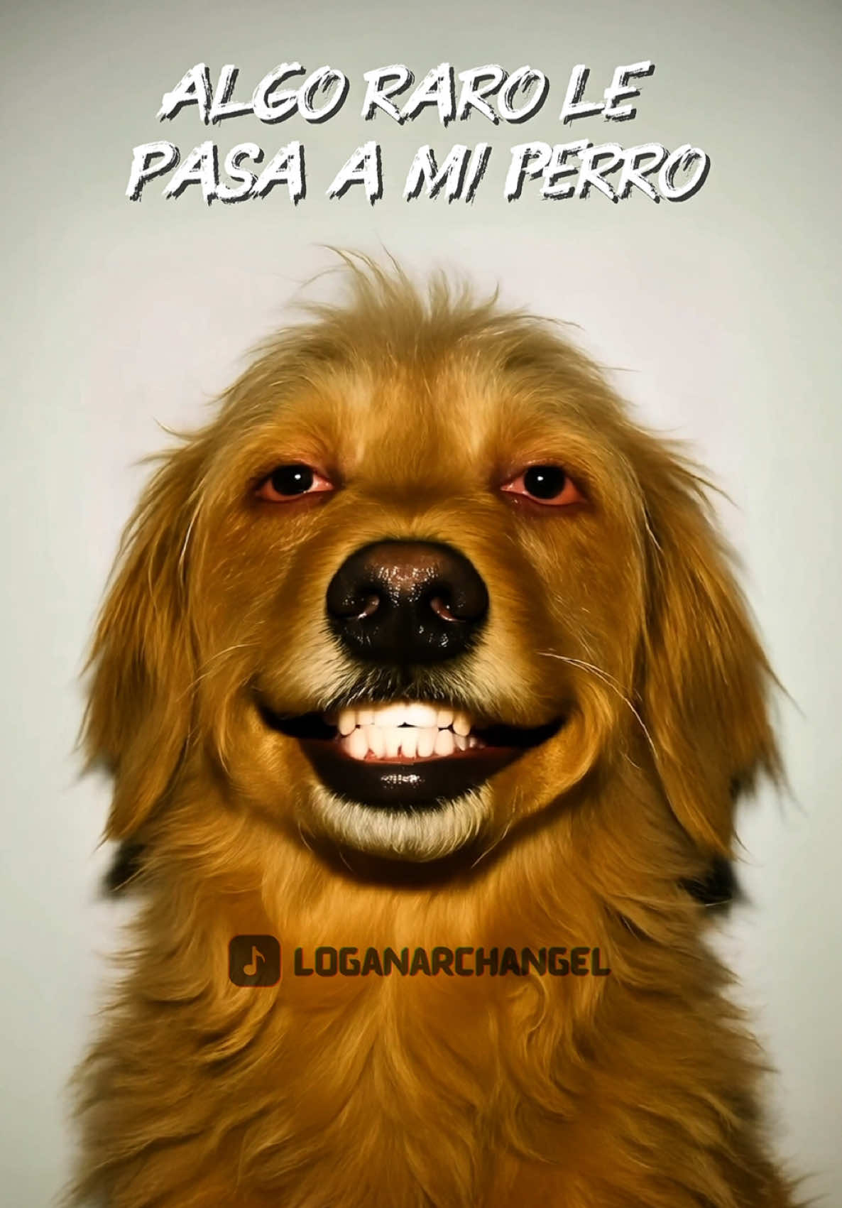 El Firu anda medio raro hasta me anda hablando grabe este video para ver si yo era el problema o el perro realmente me habló, que debo hacer dame un consejo. #mafrencito #perros #humor #dinoalasdrogas #meme 