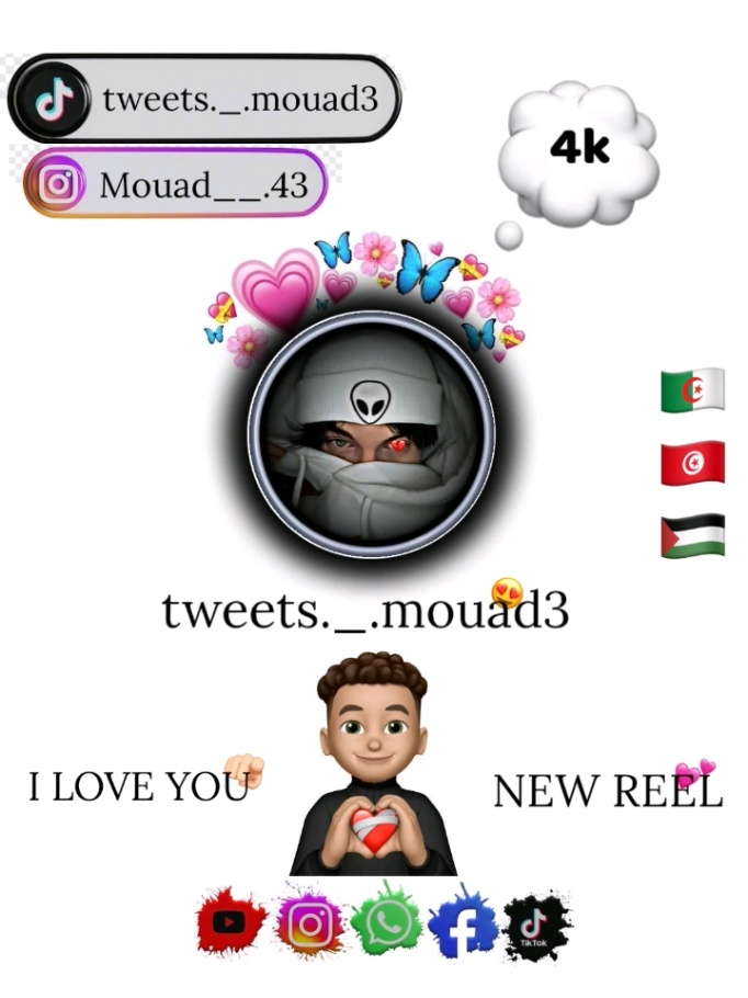 #الجزائر #fyp #لايت_موشن_تصميمي #tweets #tiktok 