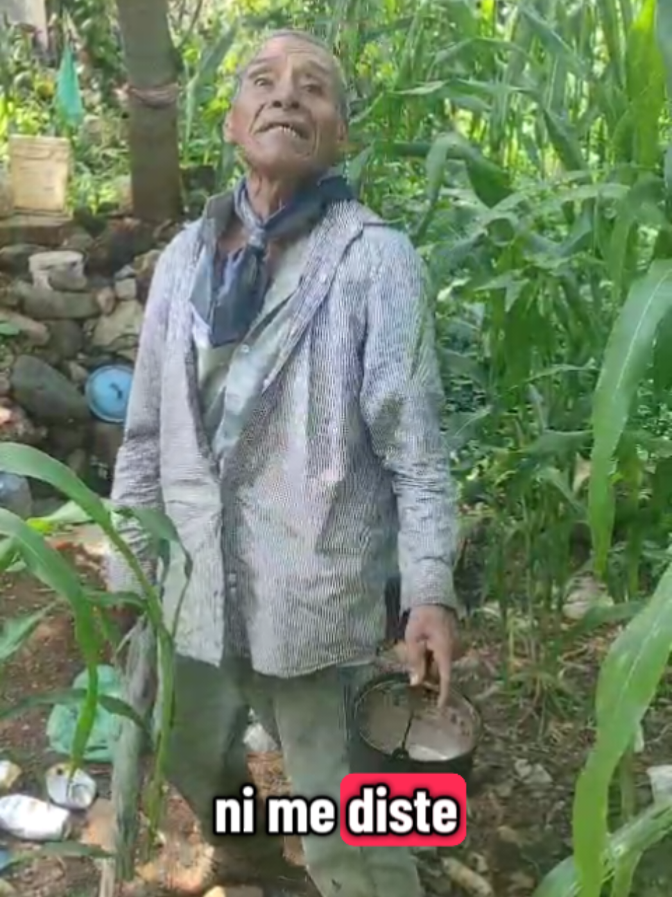 nacho retircelino sigue pegándome ala elotiza #destacados #mexico #videoviral #latino #nayarit 