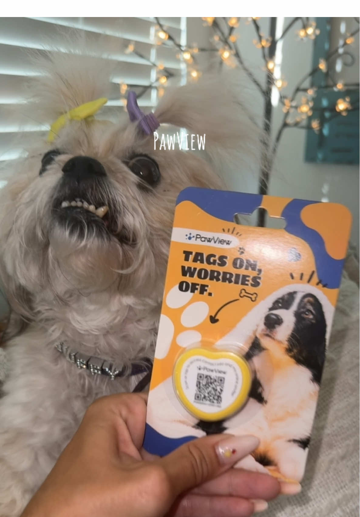 @PawView #fyp #pawview #pettag 