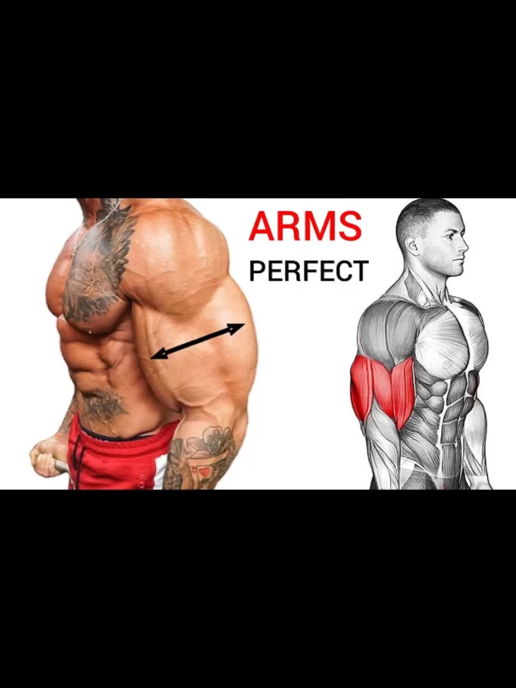 Best Bicep Workout for WIDER ARMS Perfect 💪💪💪  #Fitness #gym #GymTok #workout #muscle #musculation #homeworkout #Bicep #bicepworkout💪
