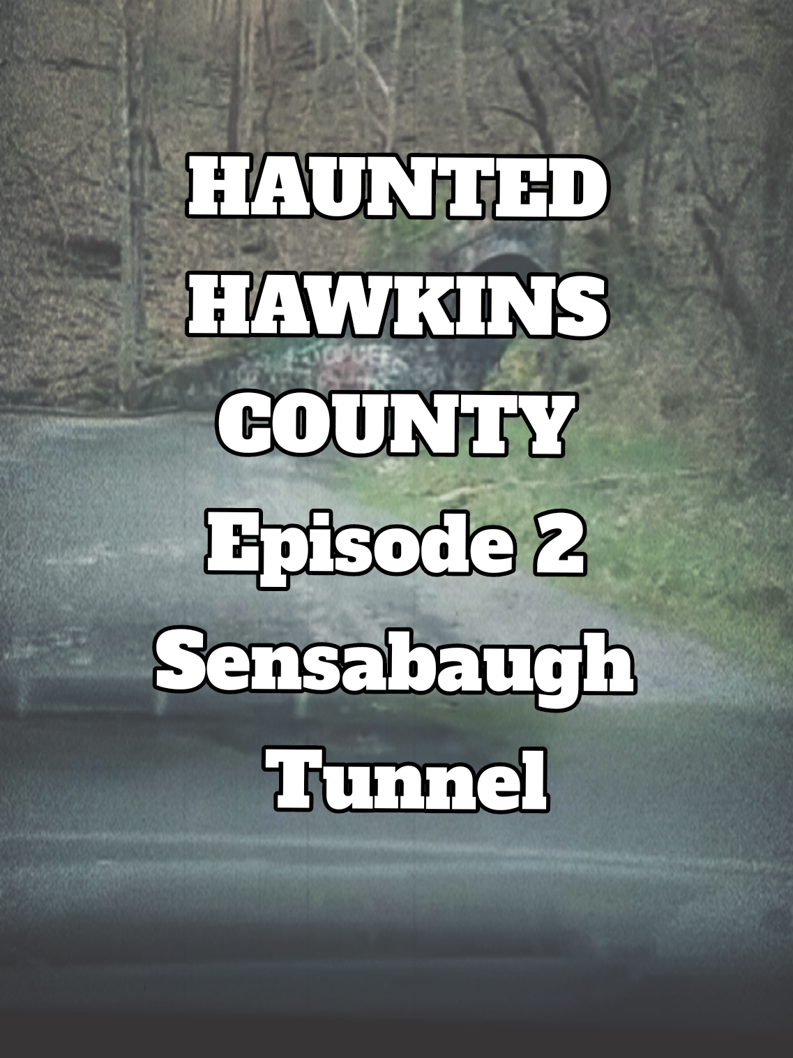 𝗛𝗔𝗨𝗡𝗧𝗘𝗗 𝗛𝗔𝗪𝗞𝗜𝗡𝗦 𝗖𝗢𝗨𝗡𝗧𝗬 𝗘𝗽𝗶𝘀𝗼𝗱𝗲 2  𝗦𝗘𝗡𝗦𝗔𝗕𝗔𝗨𝗚𝗛 𝗧𝗨𝗡𝗡𝗘𝗟 #sensabaughtunnel #hawkinscounty #ghoststories  #appalachianmountains #haunted 