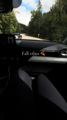 Who is ready for fall? 🍂 I know we are 🖤 #passengerprincess #couplegoals #BookTok #lovelanguage 