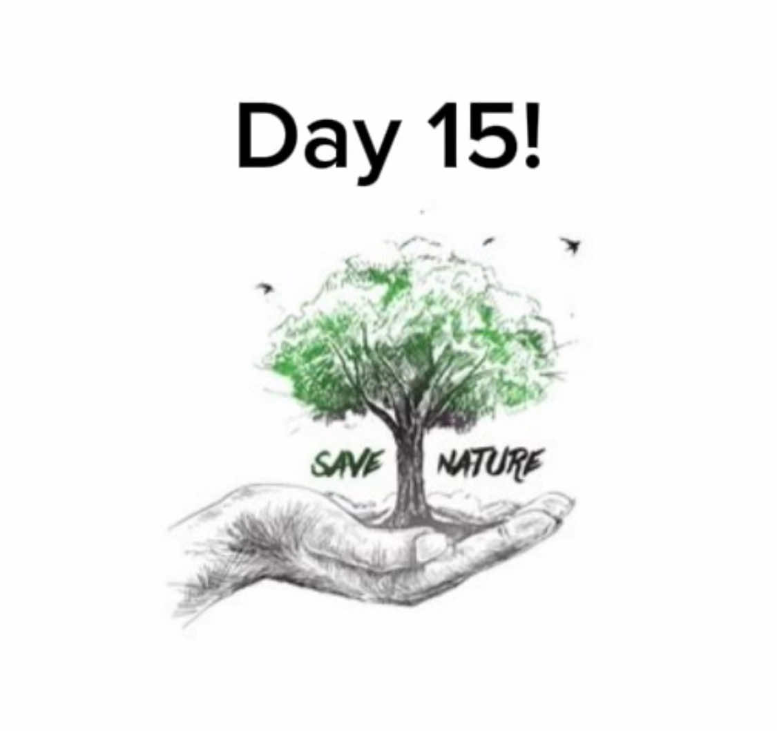Day 15🙏#day15 #project #cleaning #viralvideos #fyp 