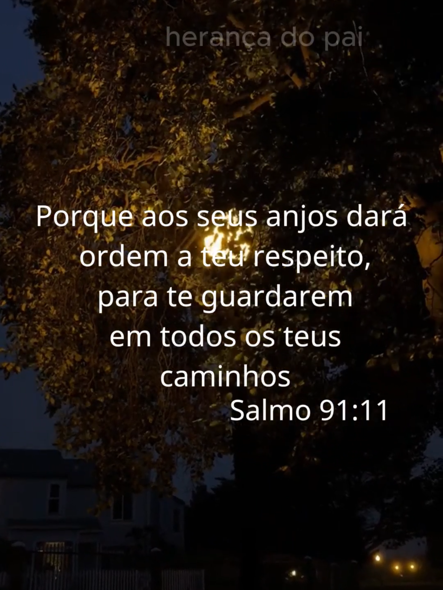 boa noite  ovelinha - isadora pompeo