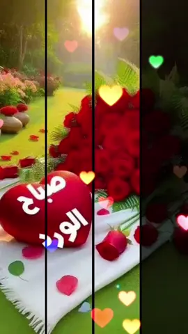 ثباحوووو#tiktok #fyp #viral 