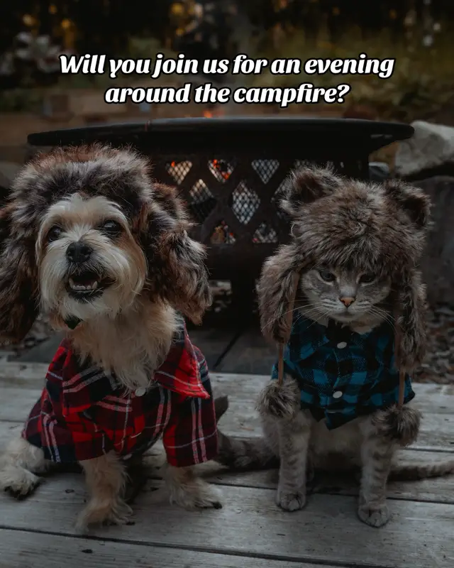 These are some of my favorite photos taken of my dog and cat this past week!  My ABSOLUTE FAVORITE is the second to last one though. Seriously. If you don’t swipe all the way through, you’re missing out. 😂 I honestly don’t know how she does it!  It’s going down to 38 degrees here tonight! Brrrr. We’re going to be cozying up with allll the blankets!  We’re leaving tomorrow 😭 to head back to NC. Since #FifisChipmunkCafe went viral last week, I’ve been  super focused on creating as much content as possible so we have a TON to share over the next few months! You guys, we even created HOLIDAY CONTENT with Fifi and her chipmunks. That’s how far I’ve been thinking ahead. So, if you followed us because you love seeing Fifi and her chippys, do not fret! There is so much more to come!  And if you followed us because you love Rams 🐶 well don’t you worry, we’ve got many more photos and videos of him being his bossy little self on the lake here in Maine.  He’s been very distressed all day while I’ve been packing. He knows exactly what’s going on. I sat him down and talked to him like I would a 5 year old child and explained to him that we’re going to NH tomorrow to my parents’ house, and then headed to PA the next day, staying overnight, and then will be on our way home on Monday. He looked at me like he knew EXACTLY what I was saying 🥹 Fifi on the other hand has no idea what’s going on and is, as usual, blissfully unaware of everything and anything around her 😂 Oh to be a cat, who pays no rent, sleeps all day, and gets to hang out with chipmunks! 😂 When you’re packing to go somewhere, do your pets know what’s up like Rambo, or are they blissfully unaware like Fifi? #lifeintheforest #campfirenights #herecomesfall #mainelife  