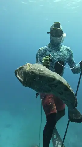 Spearfishing for Giant Bahamas Black Grouper! #fishing #spearfishing 