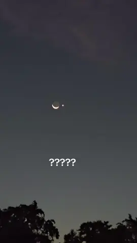 #LIVEIncentiveProgram #JustGoLIVE #PaidPartnership #LIVECareer #LIVEStory 