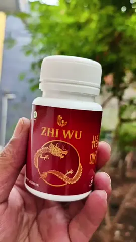 zhi wu bantu mendukung kesehatan dan keseimbangan tubuh#promoseruweekend #zhiwu #syarafkejepit #sakitpinggang 