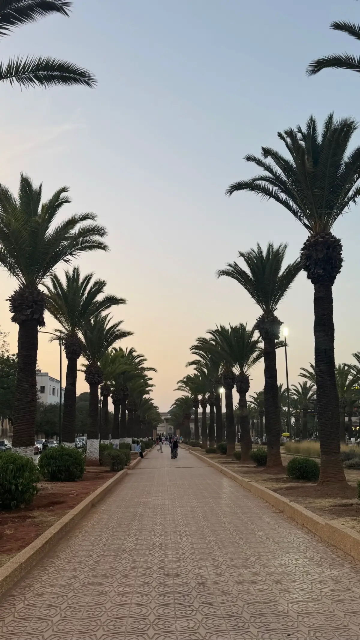 𝗣𝗔𝗥𝗜𝗦 𝘄𝗹𝗮 𝗠𝗘𝗞𝗡𝗘𝗦  #meknes #pourtoi #foryou #meknes_maroc #maghreb 