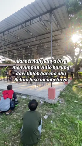 Seng pernah ngalami ngonokwiii komen o cahhh#kicaumaniaindonesia#muraibatuindonesia#fyp 
