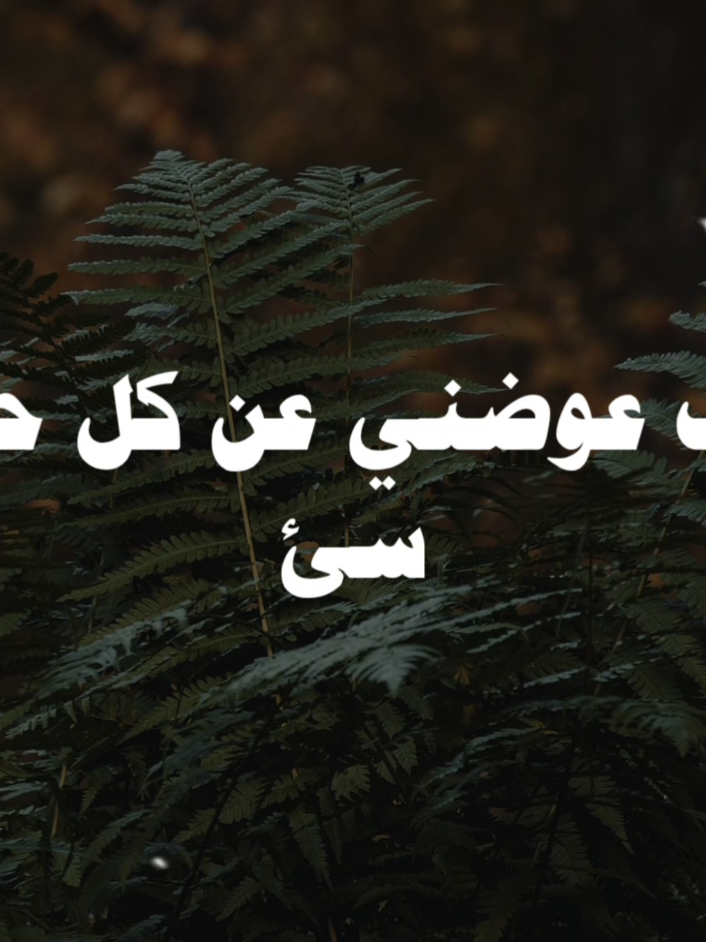 يارب عوضني يارب 🤍🥺 #يحي_البحيري  #صلي_علي_النبي 