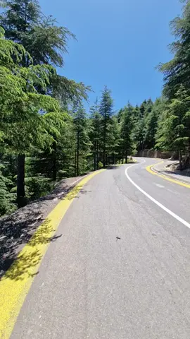 #elarz #hotel #talaguilef #talaguilef🌲🌲🌲 #tiziouzou 