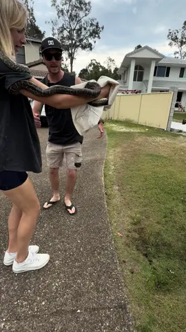 Welcome to Australia. No f**ks given about a wild snake but lord help me if that spider comes any closer! #snake #australianwildlife #spider #justanotherday 