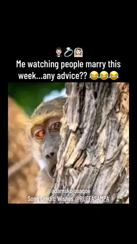 🤵🏻‍♂️💍👰🏻 Me watching people marry this week…any advice??  😂😂😂  Song Credit: Wishes @RUFFA SAMPA  #marriageadvice #relationshipadvice #datingadvice #wishes #adamskojosagoe 