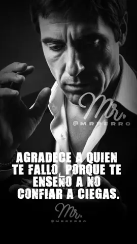 Gracias por fallarme, me hiciste más fuerte. No fue una traición, fue una graduación. 🎓🔥 Ahora ya no confío a ciegas… confío con visión de rayos X.  Inspirado por Tony Montana  #tonymontana #reflexiones #parati #fyp  #creatorsearchinsights  ©️ Copyright Mr Perro 2025 