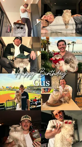 Happy Birthday son 🥹 #funny #birthday #pets 