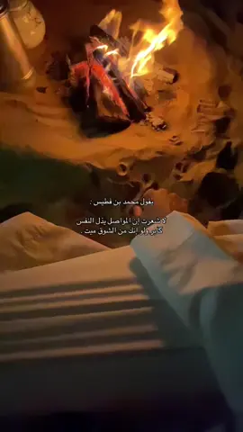 #قصيد #fypシ゚ #4u 